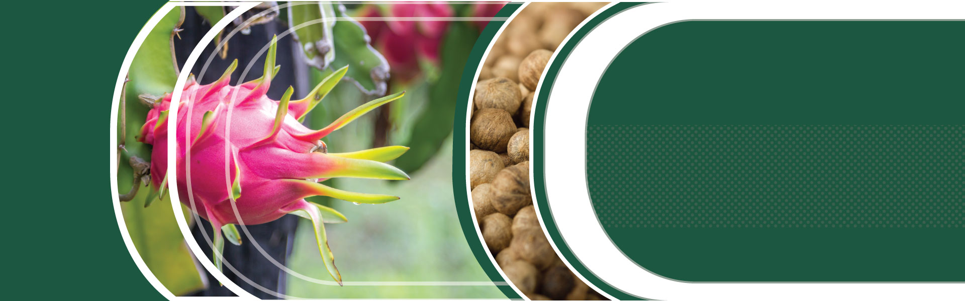 Fish Fertilizer 5-4-2 Microbebio Hydro Activator