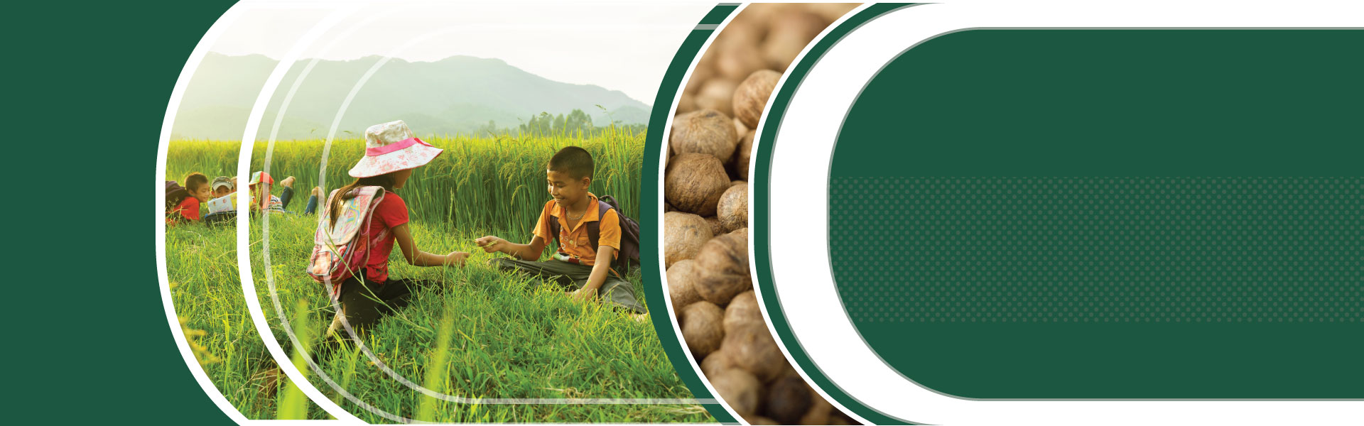 Fish Fertilizer 5-4-2 Microbebio Hydro Activator